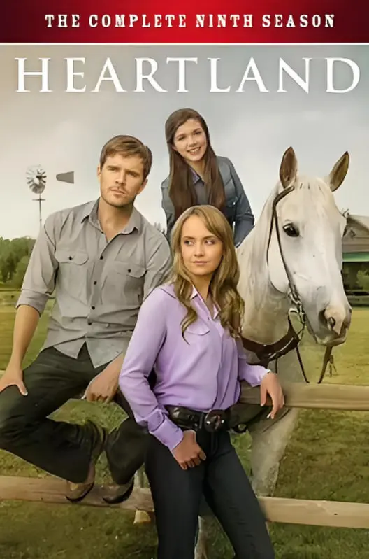 《心灵之地 第十一季》：深入罪证迷宫，罪恶与欲望的终极较量